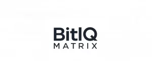 bitlq matrix