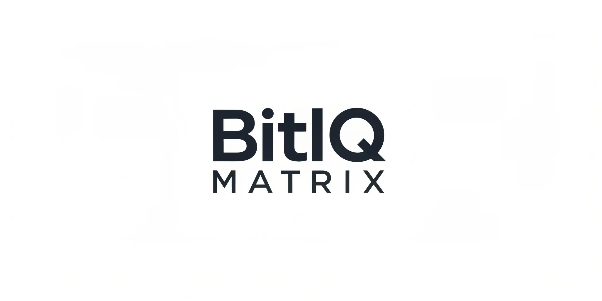 bitlq matrix