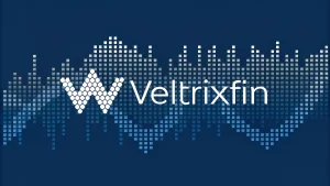 VeltrixFin