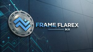 Frame Flarex Nx