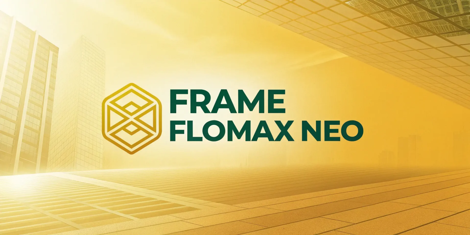 Frame Flomax Neo