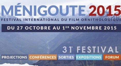 31ème festival de Ménigoute