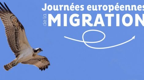 Retour sur les Journées européennes de la migration